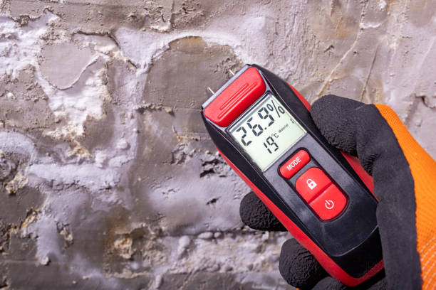 Best Industrial Mold Remediation in Gloster, MS